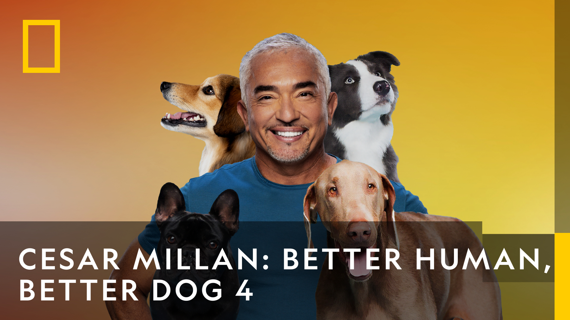 Cesar Millan: Better Human, Better Dog 4