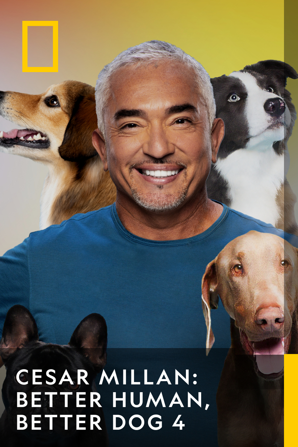 Cesar Millan: Better Human, Better Dog 4