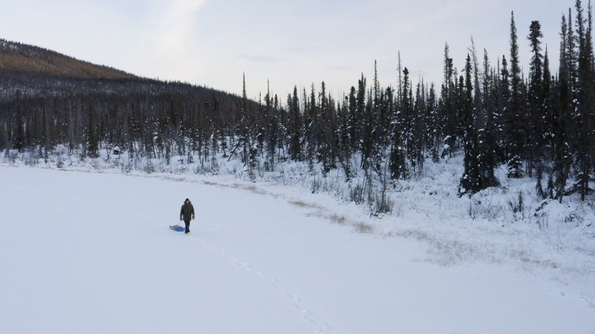 Frozen Footsteps