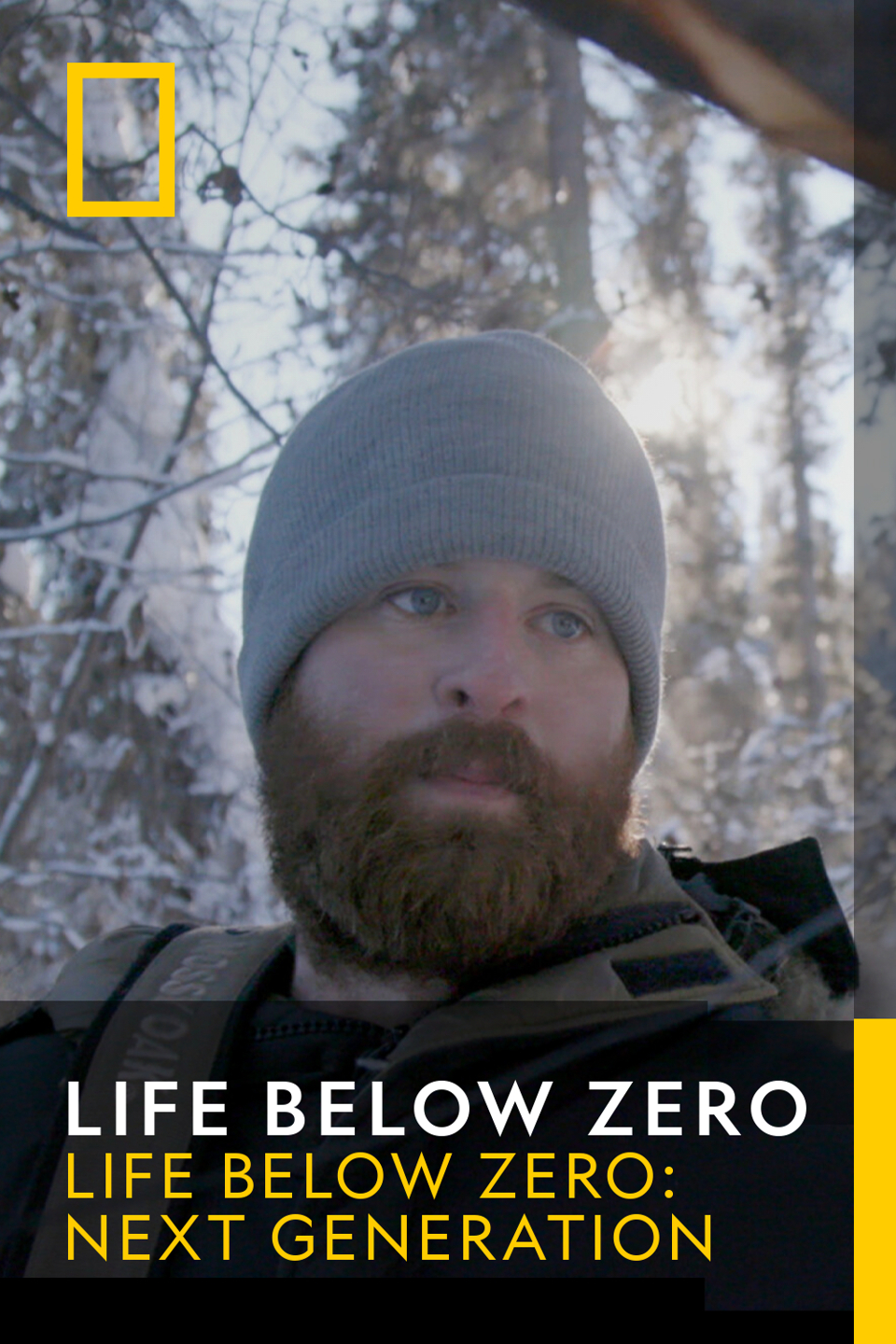 Life Below Zero - Big Wolf