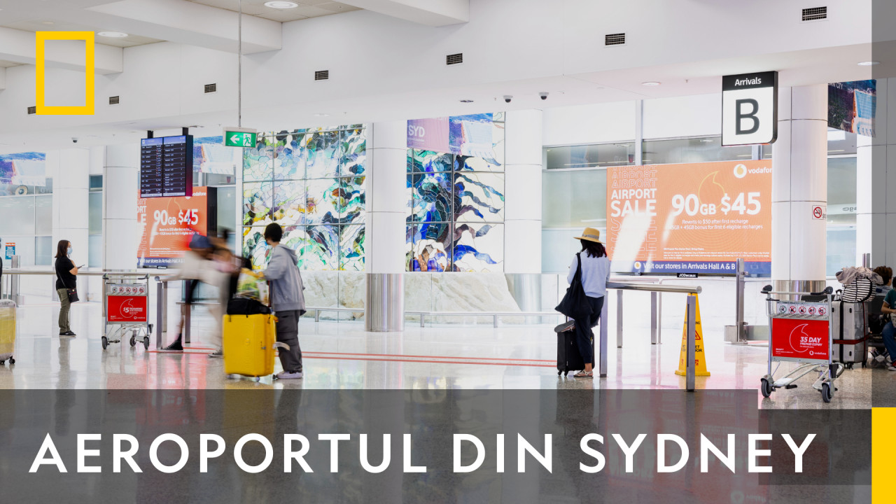 Inside Sydney Airport