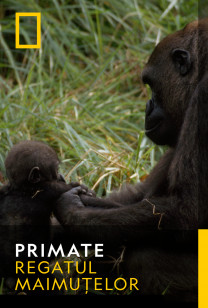 Primates Sezonul 1 Episodul 9