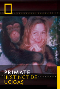 Primates - Cimpanzeul