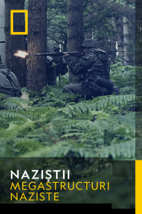 Nazis - Linia Siegfried