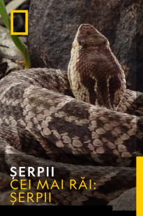 Snakes Sezonul 1 Episodul 15