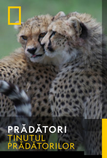 Predators - Hiena pătată și câinele sălbatic african