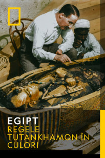 Egypt Sezonul 1 Episodul 15