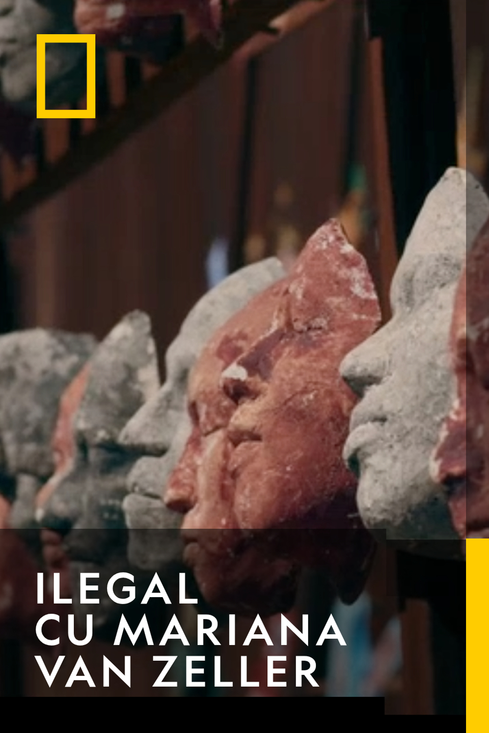 Ilegal Cu Mariana Van Zeller Sezonul 1 Episodul 16