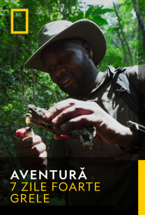 Adventure - Gabon