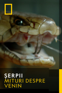 Snakes Sezonul 1 Episodul 1