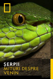 Snakes - Mituri despre venin: Vipera