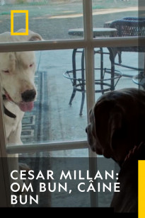 Cesar Millan: Better Human Better Dog 2 Sezonul 1 Episodul 1