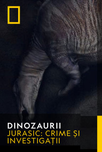 Dinozaurii - Dinozauri gigantici