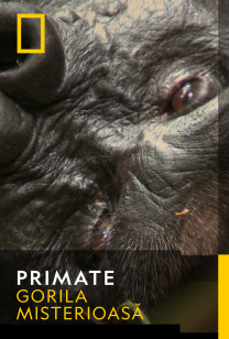 Primates Sezonul 1 Episodul 8