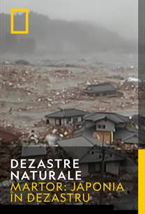 NATURAL DISASTERS - Martor: Japonia în dezastru