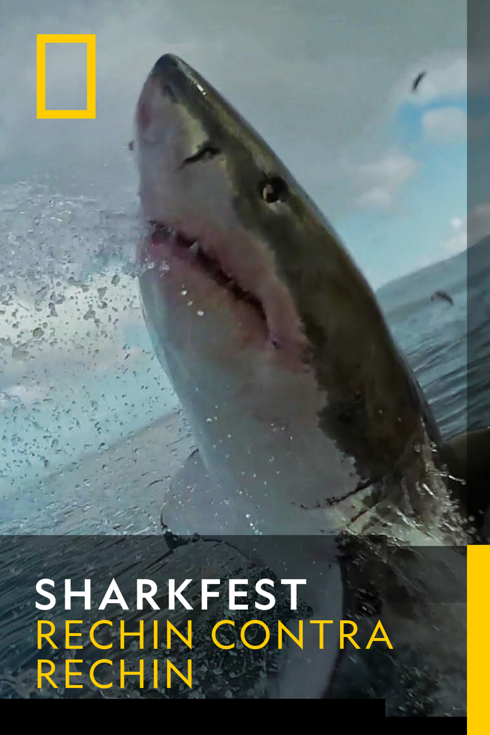 Sharkfest Sezonul 1