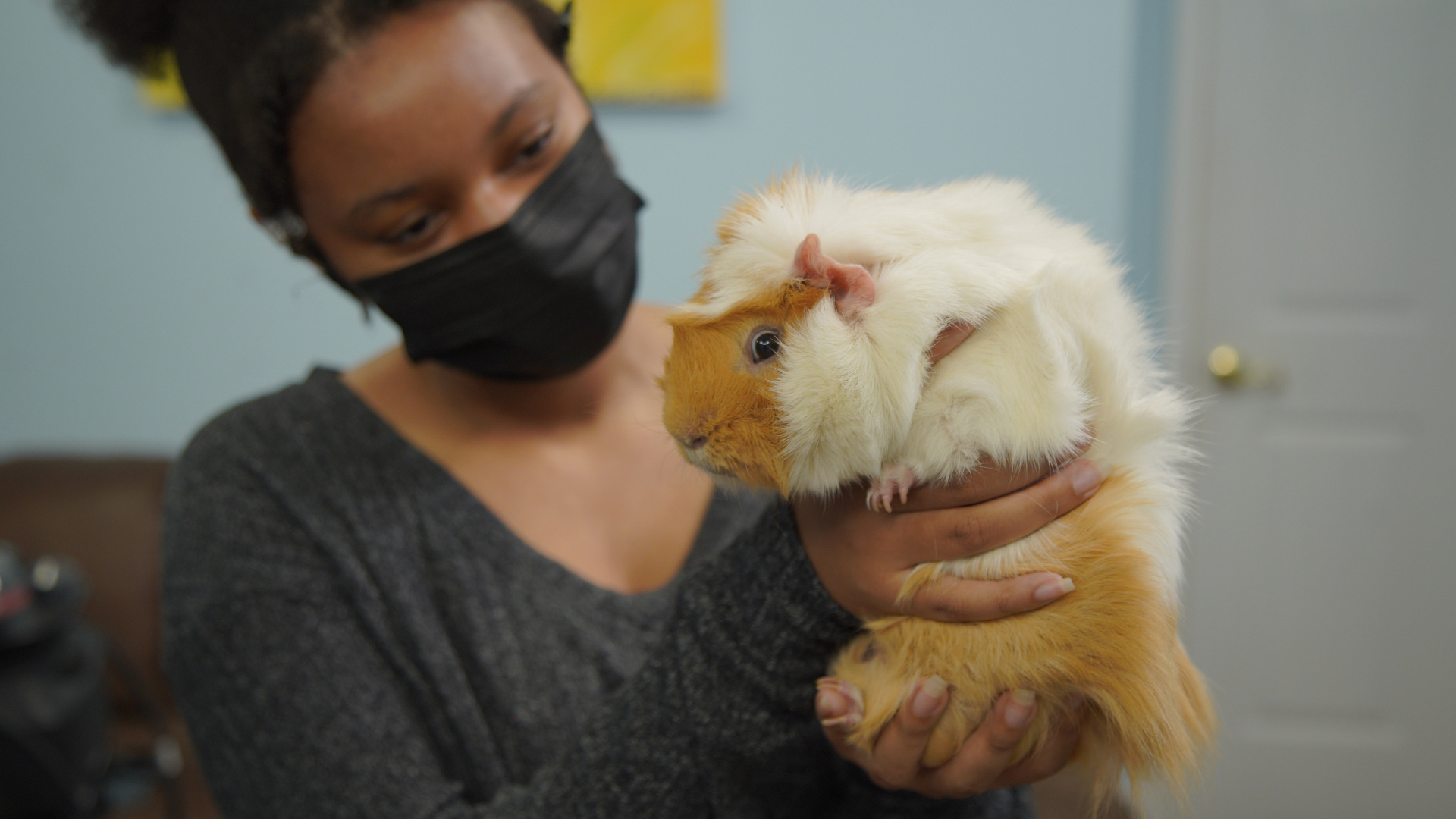 Salvatorii Animalelor: Veterinari La Țară 5 Sezonul 1 Episodul 4