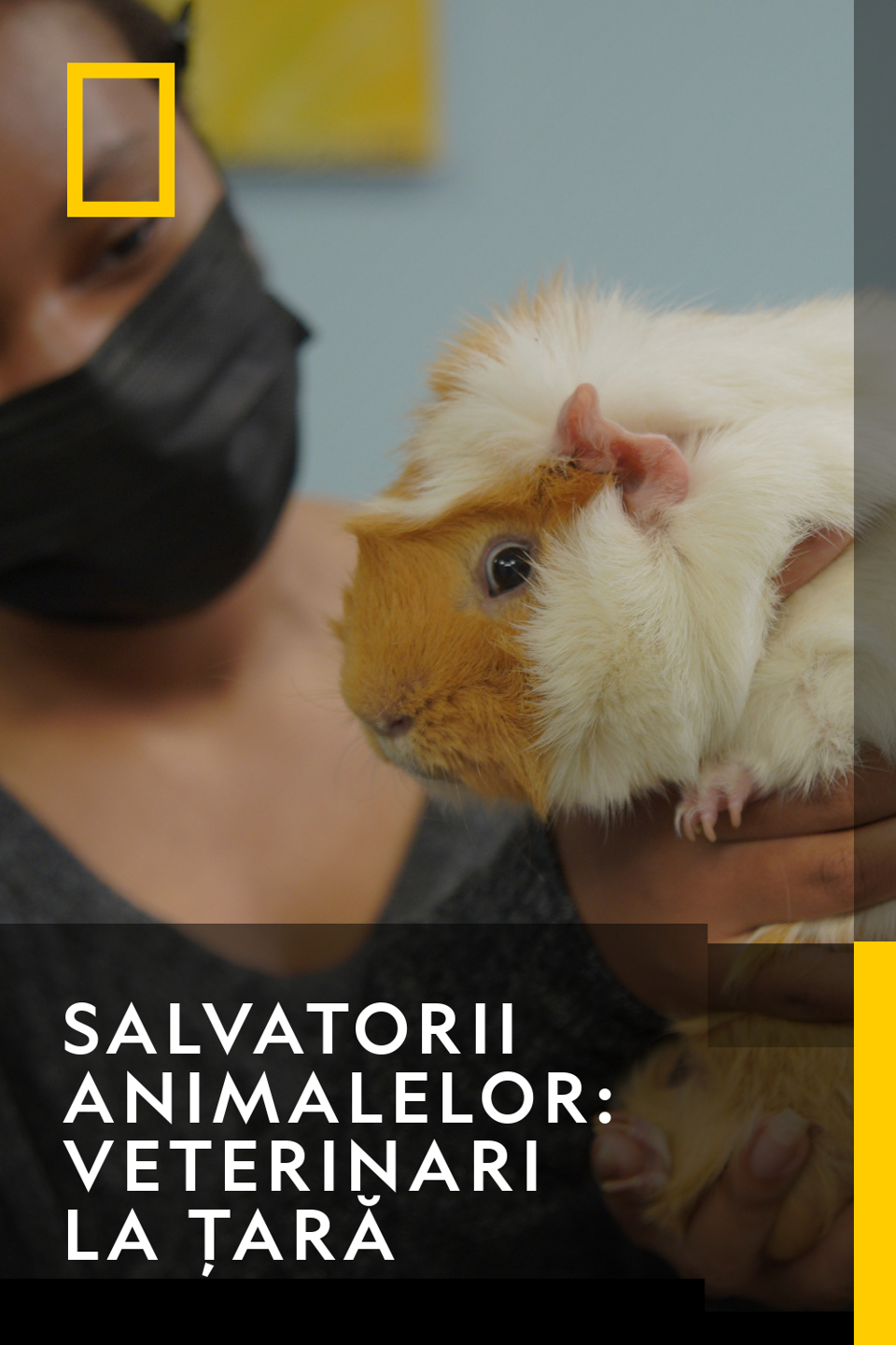 Salvatorii Animalelor: Veterinari La Țară 5 Sezonul 1 Episodul 4
