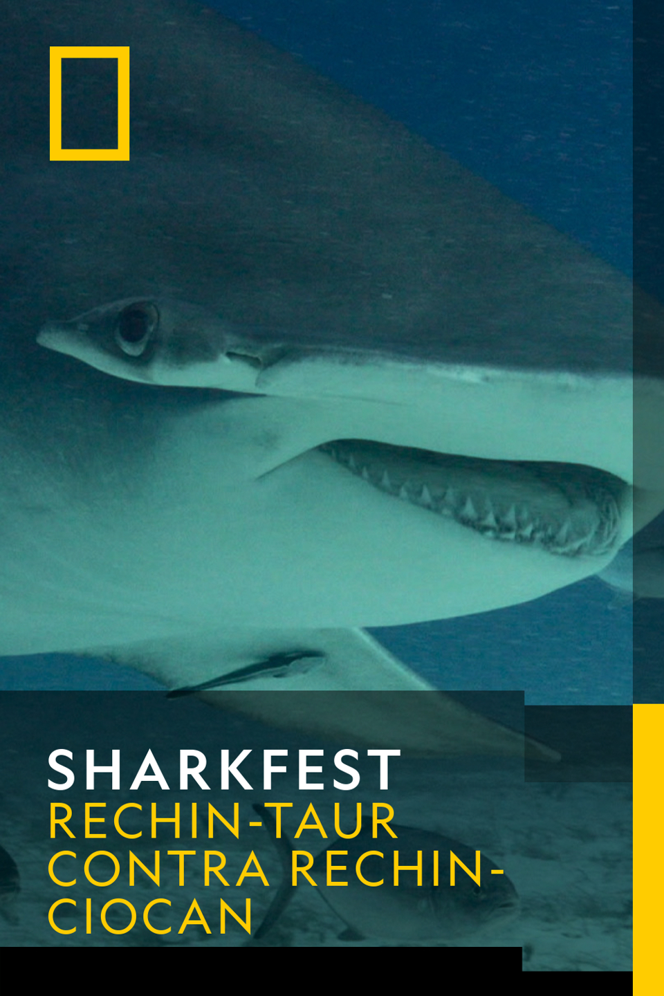 Sharkfest Sezonul 1 Episodul 7