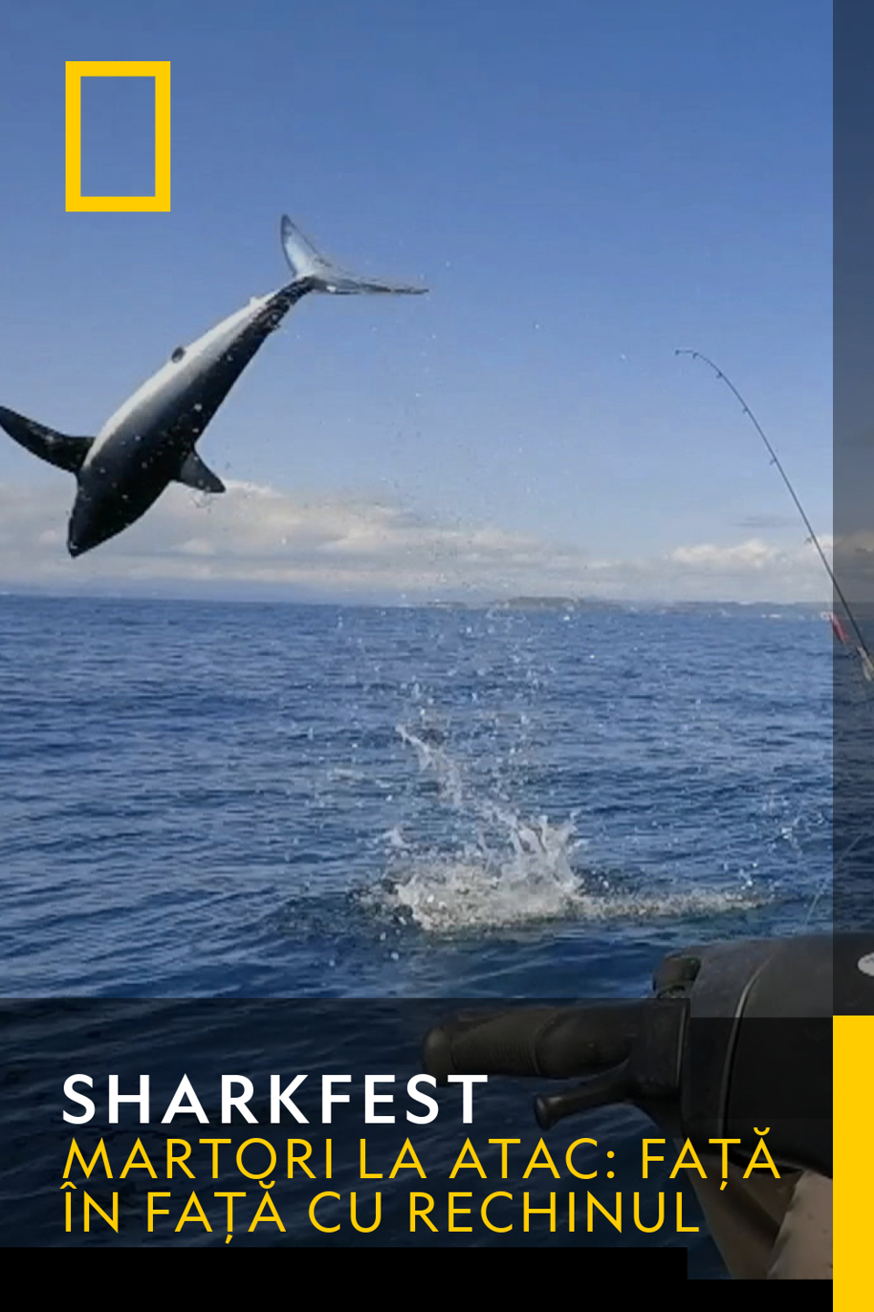 Sharkfest Sezonul 1 Episodul 13