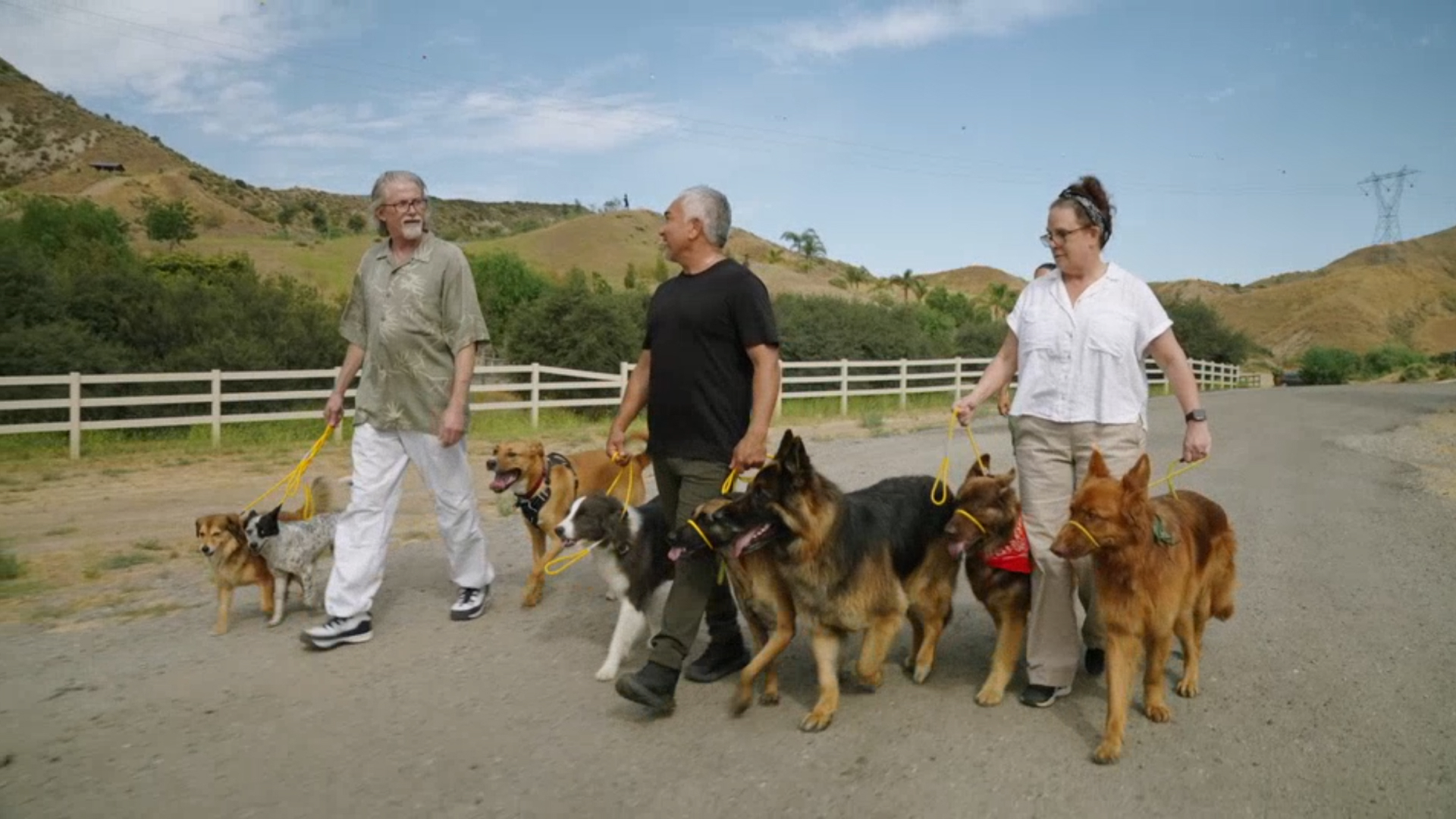 Cesar Millan: Om Bun, Câine Bun Sezonul 1 Episodul 5