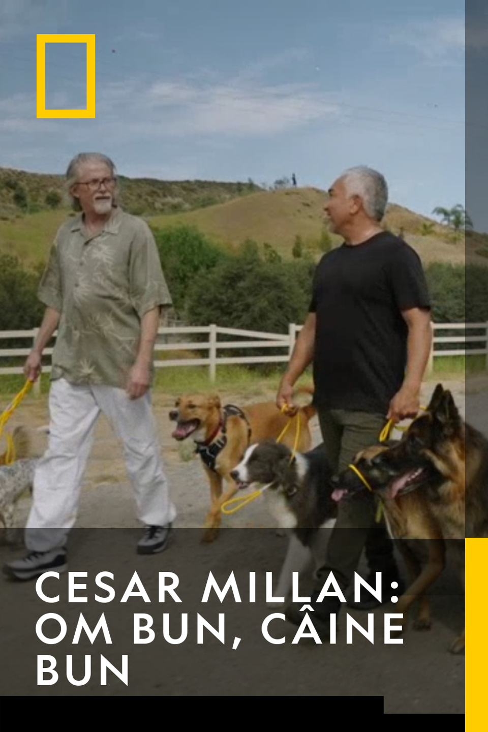 Cesar Millan: Om Bun, Câine Bun - Cetatea fricii: Partea 2