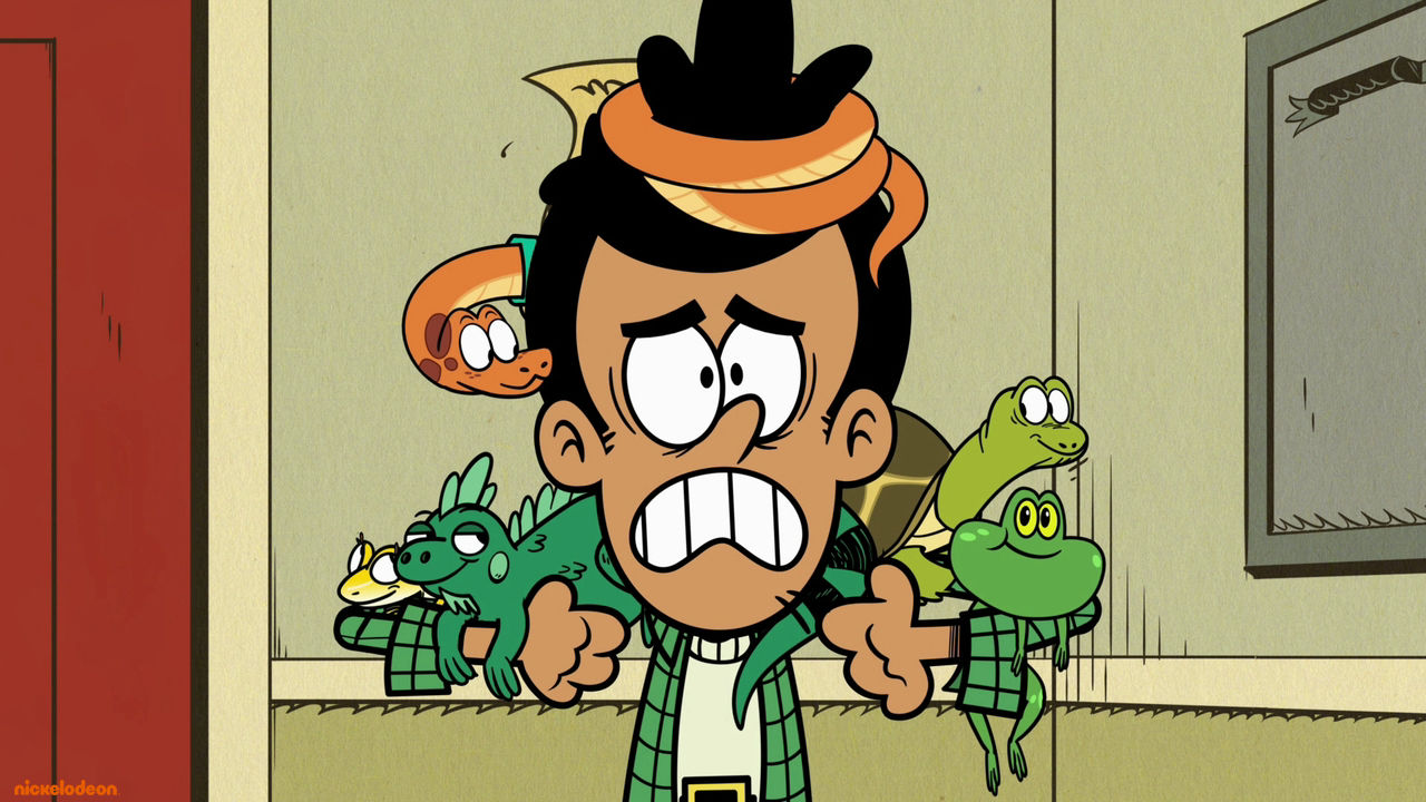 De Casagrandes - Karma kameleon / Teamprestatie