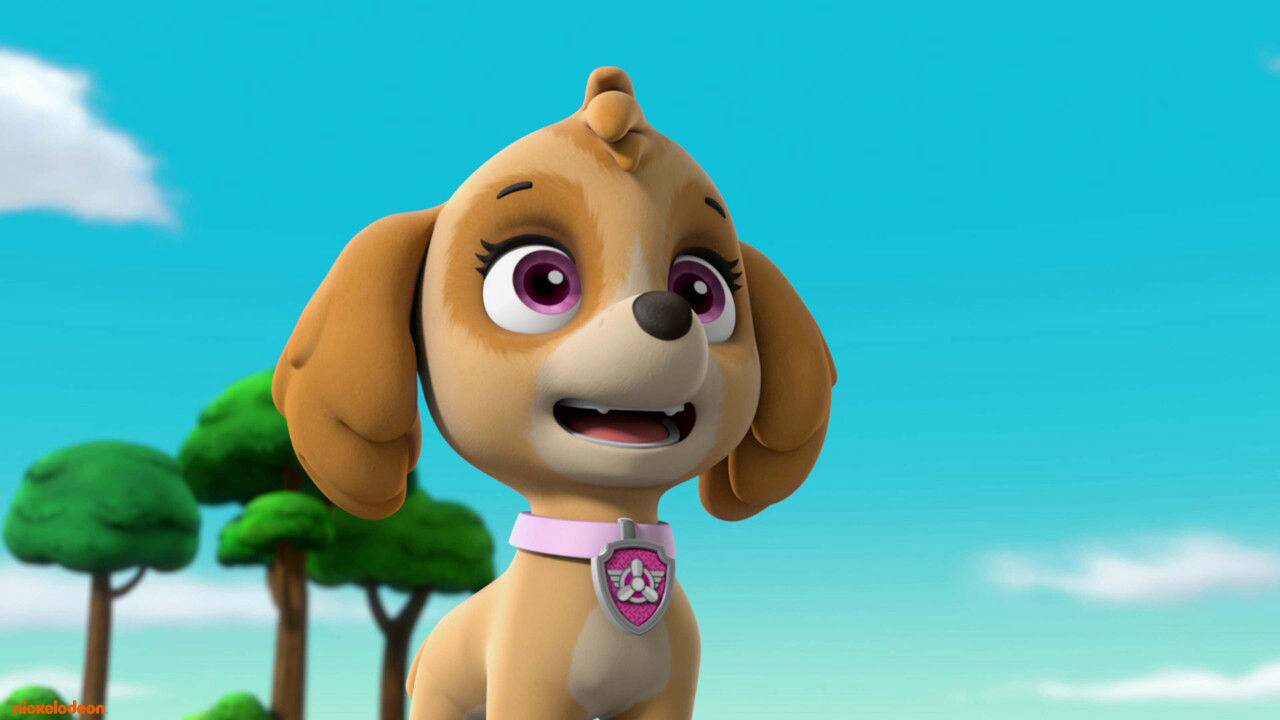 PAW Patrol - Pups redden de gitaar van Gustavo / Pups redden de yogageiten