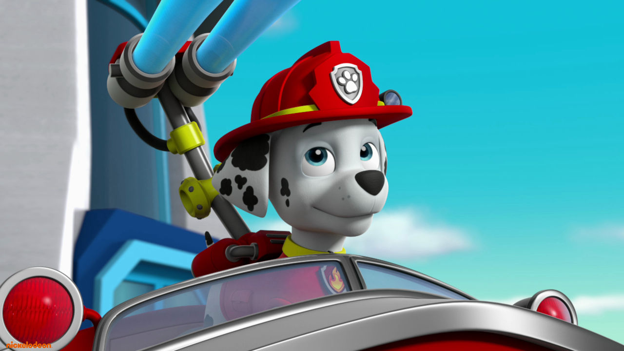 PAW Patrol - Pups redden een redder / Pups redden het spook van de kikkervijver