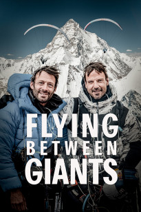Flying Between Giants