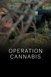 Operation Cannabis - Staffel 1 - Folge 1