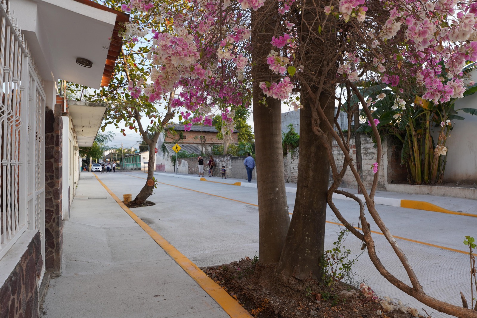 Calle pavimentada en Las Juntas