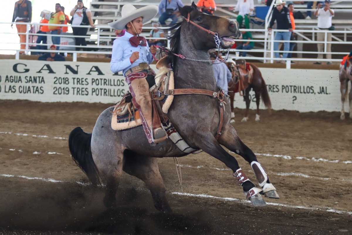 Niño montando a caballo