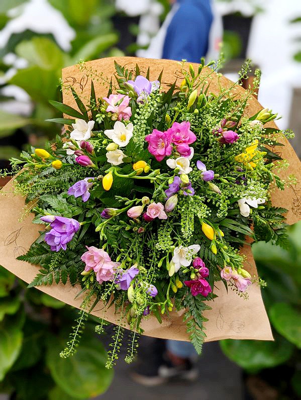 Fragrant Freesia