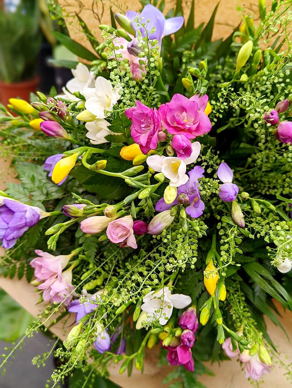 Fragrant Freesia - Image 2