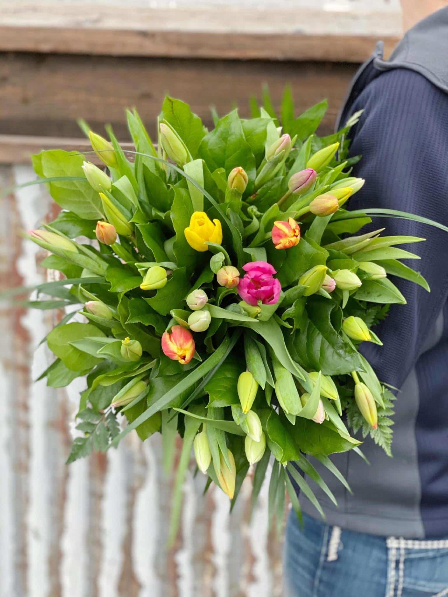 It's Raining Tulips