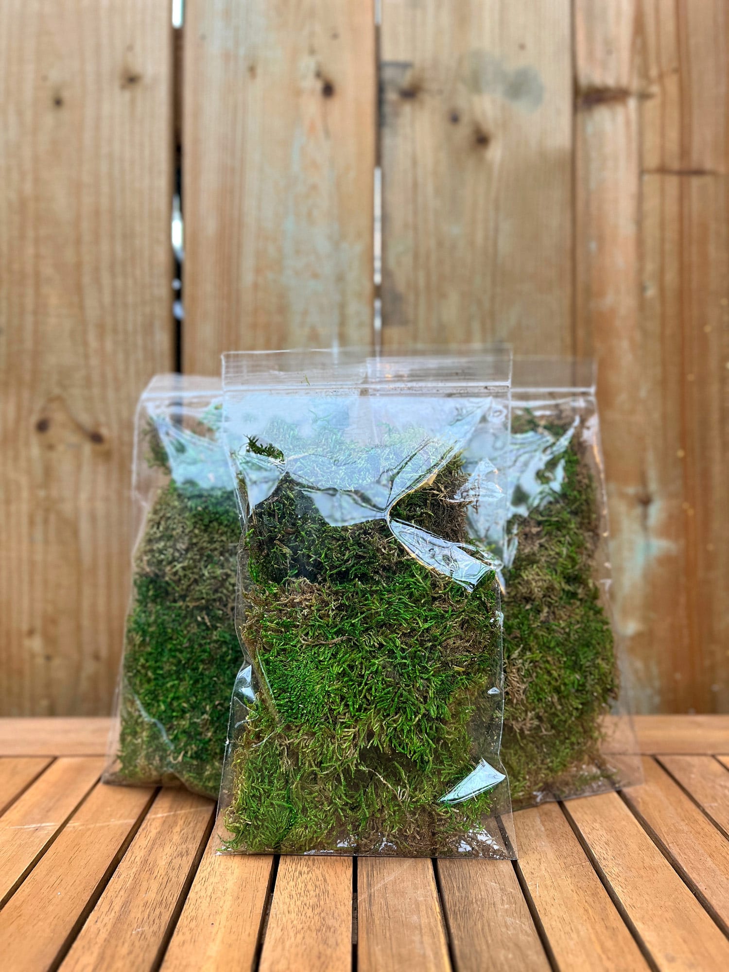 Sheet Moss