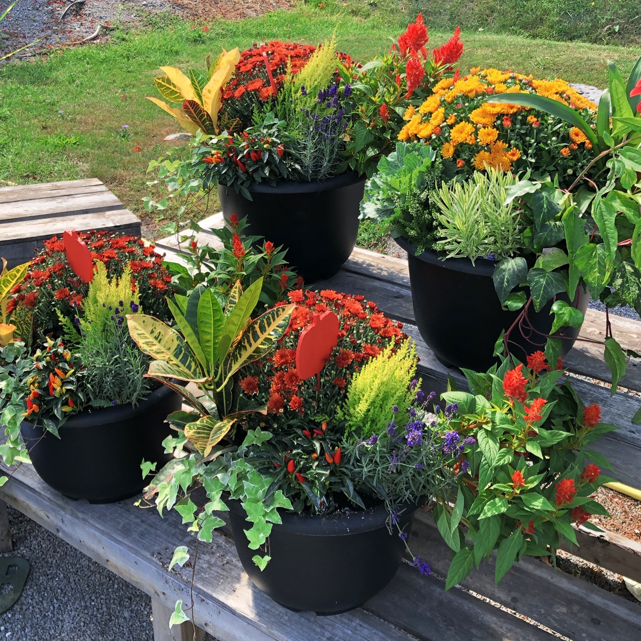 Urn Club - Image 2