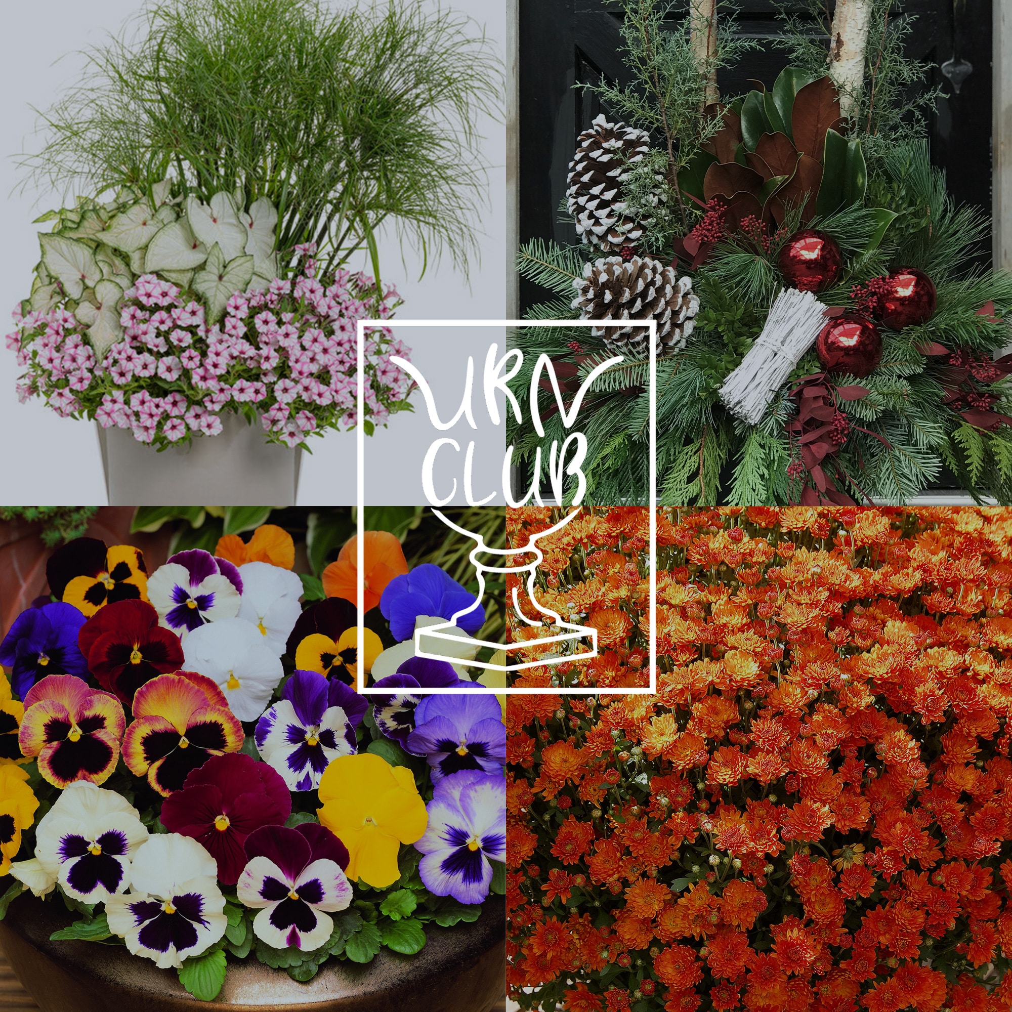 Urn Club