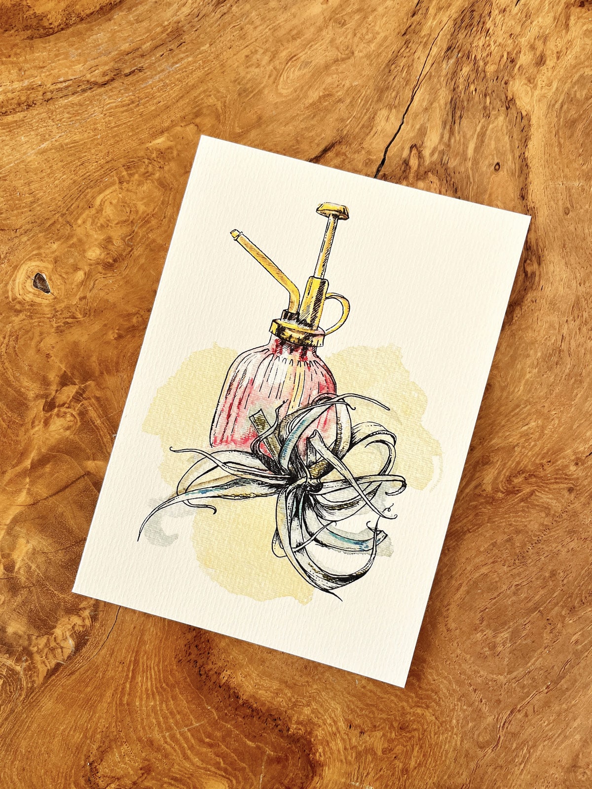 Greeting Cards - 5 Pack! - Image 4