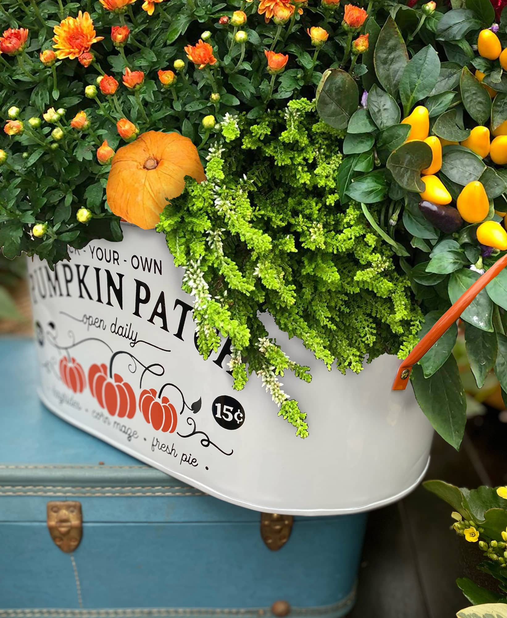 Pumpkin Patch - DIY Kit