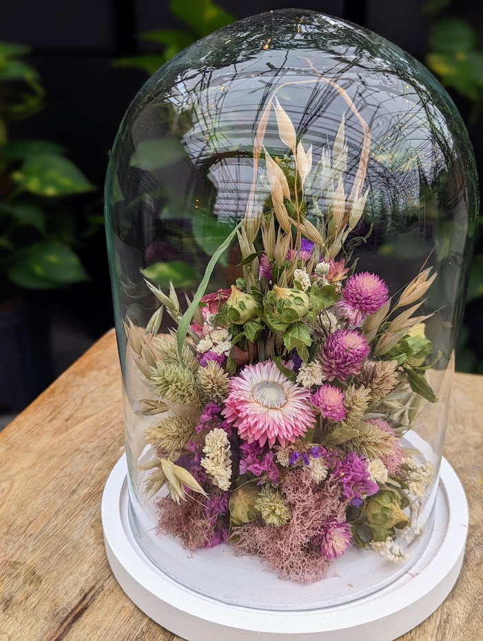 The Watering Can | A pink dried floral arrangement in a glass dome.