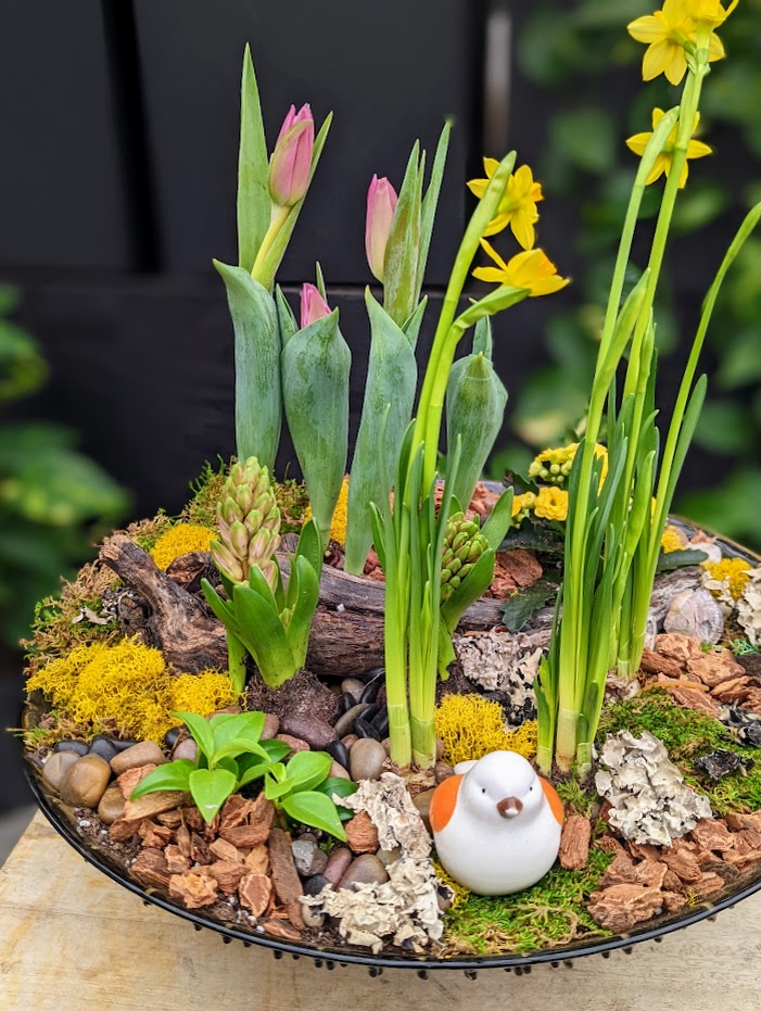 The Watering Can | A spring bulb planter designed in a glass bowl.