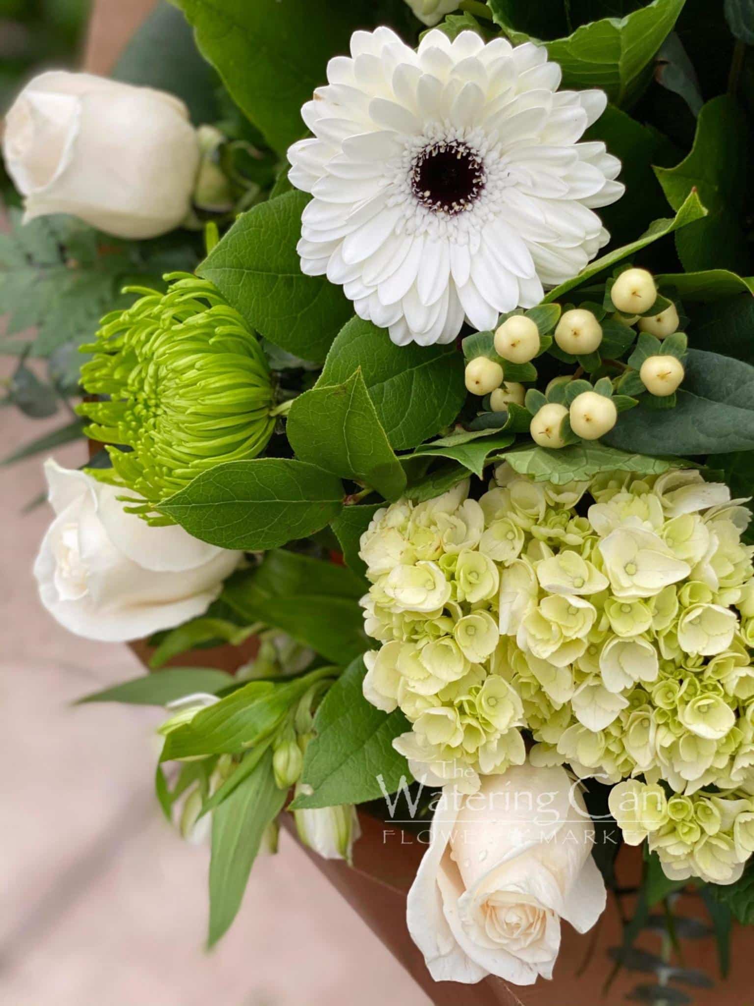 Wonderfully White - Image 2