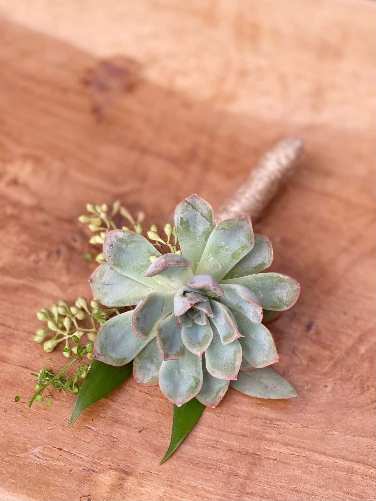 Succulent Boutonniere