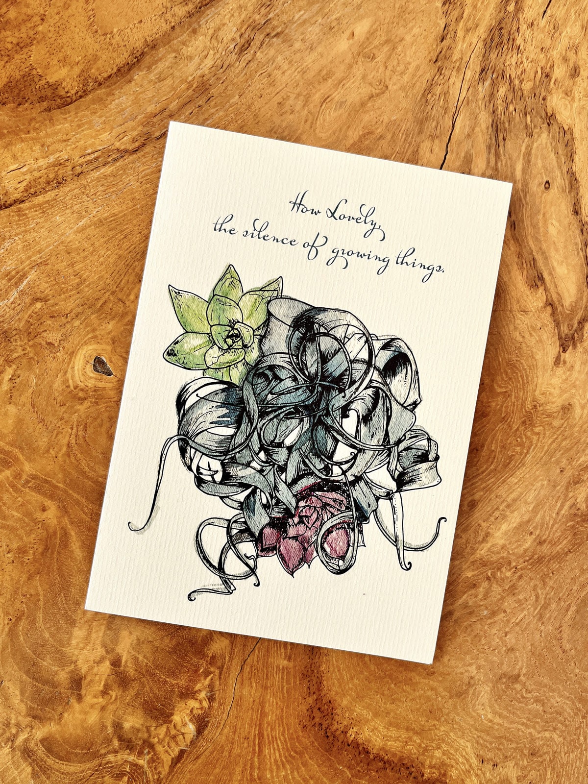 Greeting Cards - 5 Pack! - Image 2