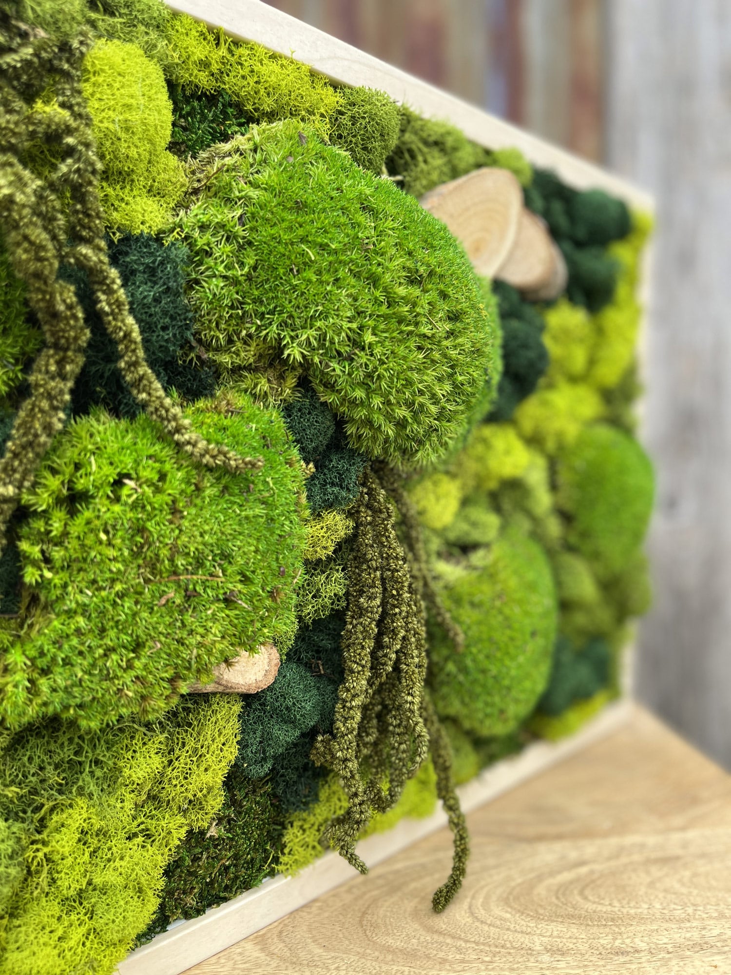 Premium Moss Frame