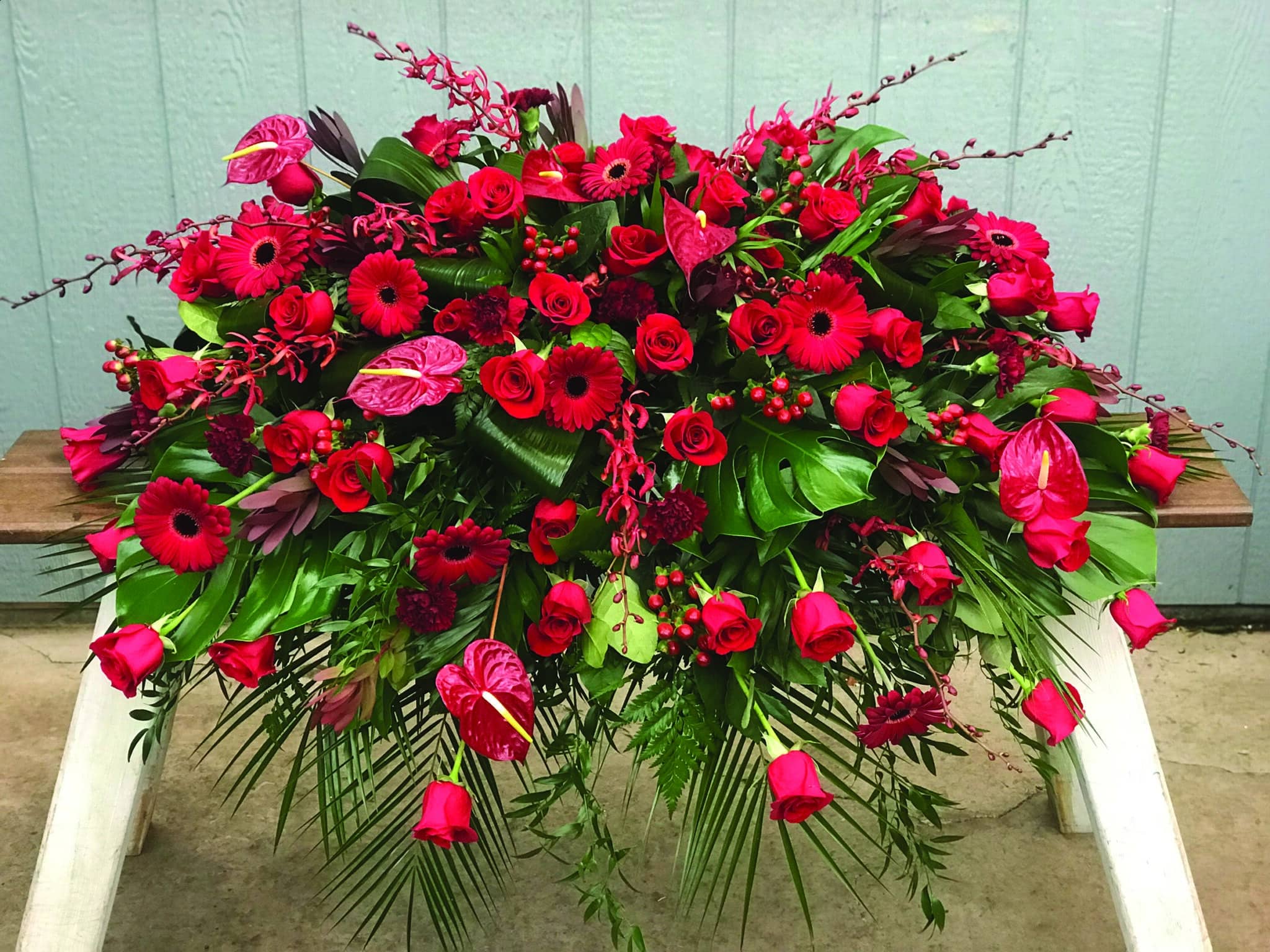 An all red casket spray made with roses, leucadendron, gerbera daiseies, anthuriums, carnations, annabelle orchids, and hypericum flowers in a lush bed of greens..