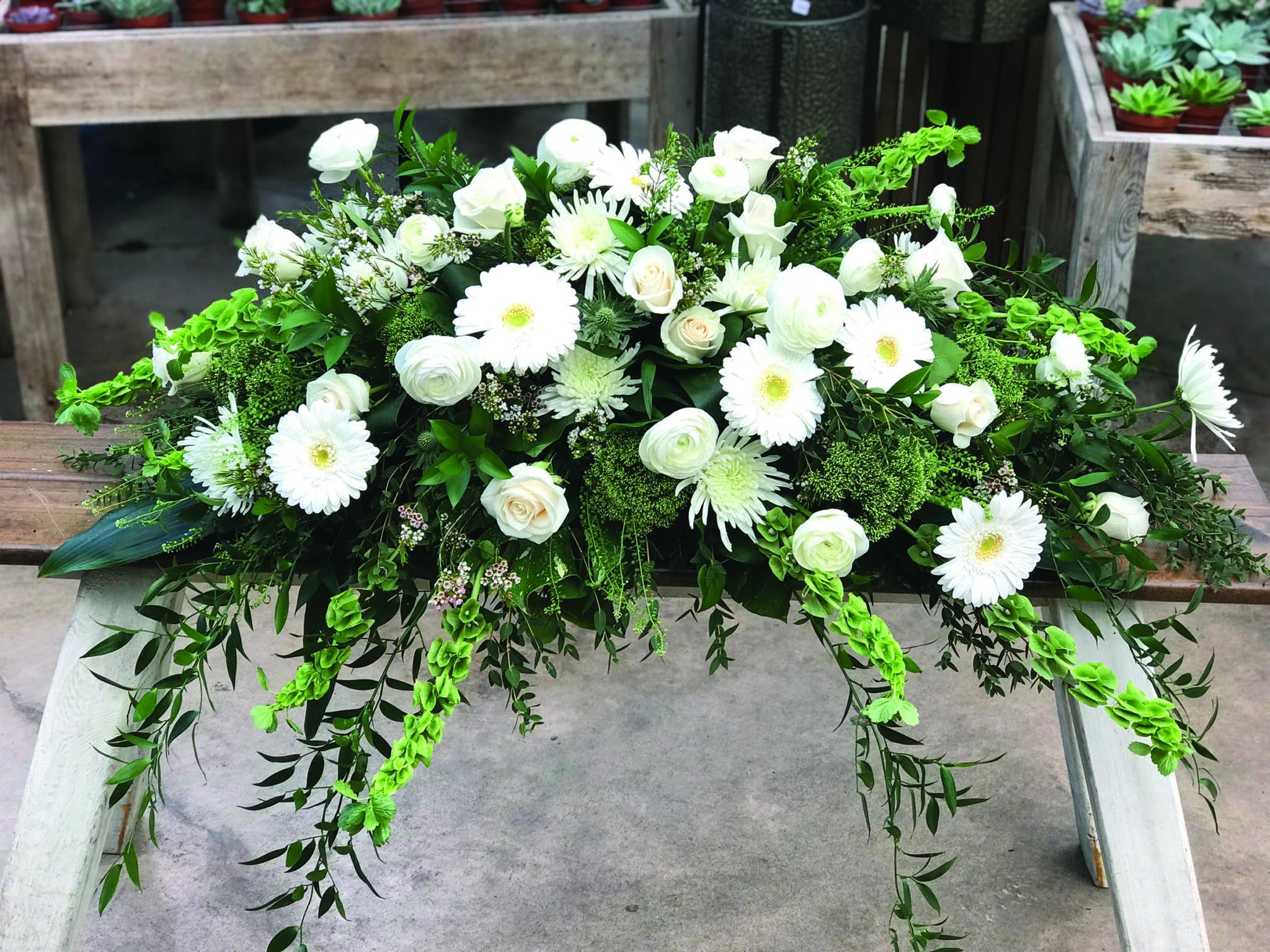 An all white casket spray made with bells of ireland, roses, mums, gerbera daisies, trachelium, ranunculus, and waxflower in a bed of lush greenery.