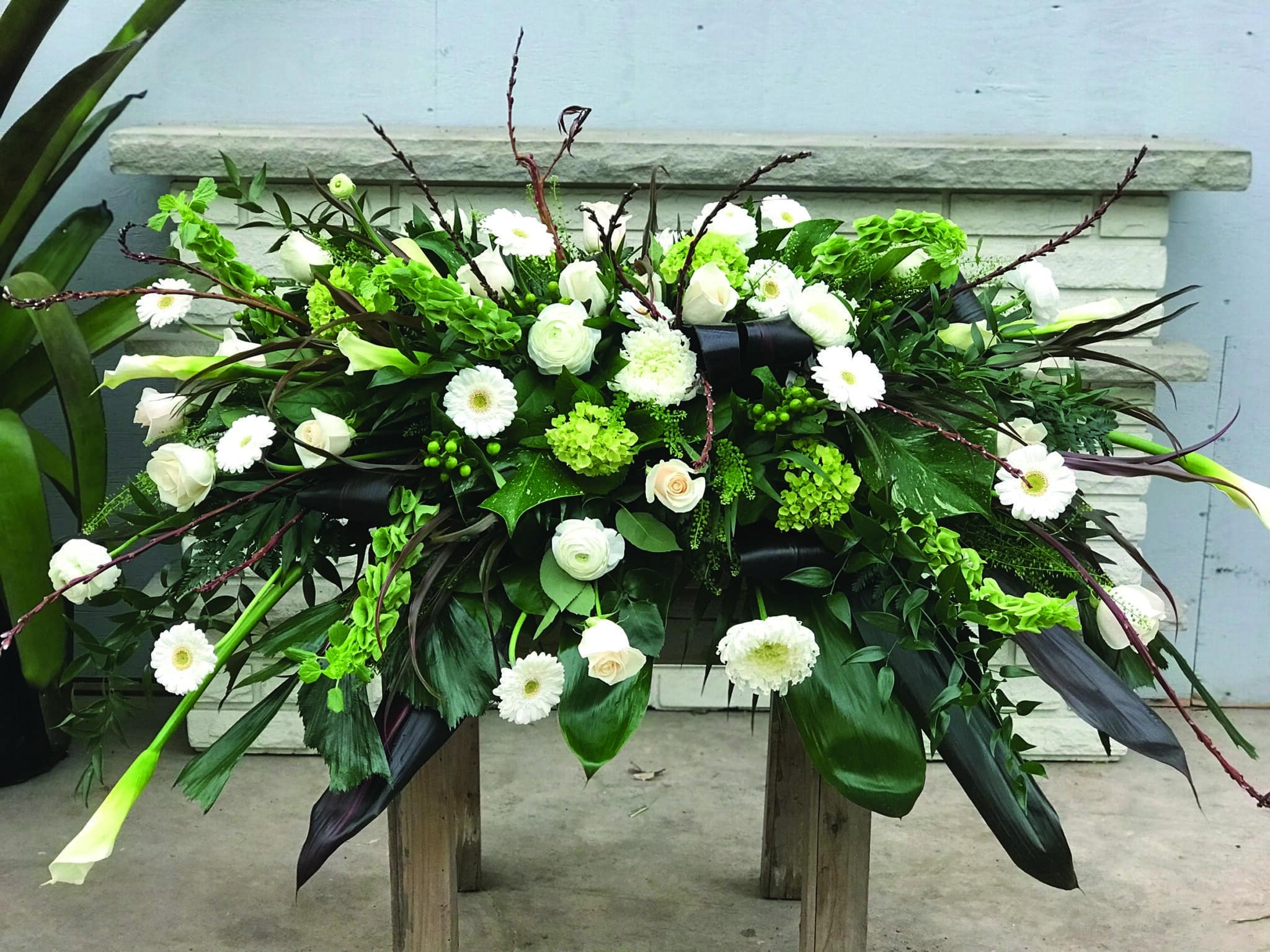 A green and white casket spray made with green hydrangea, white calla lilies, white roses, bells of Ireland, white ranunculus, white gerbera daisies, green hypericum, and white mums in a lush bed of greens.